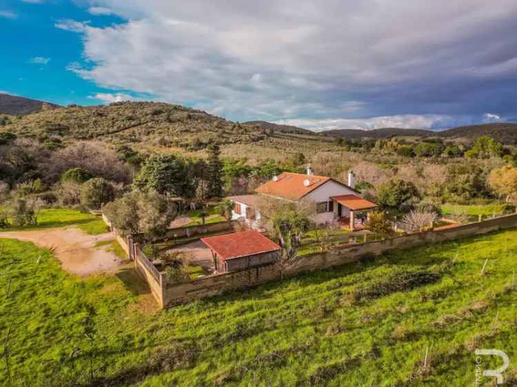 Villa bifamiliare Località Asca, Piombino