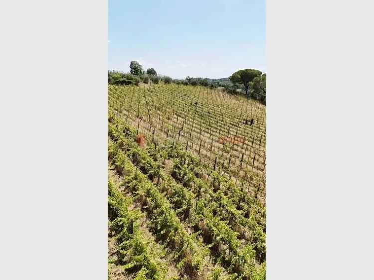 Terreno non edificabile in vendita  a Siena