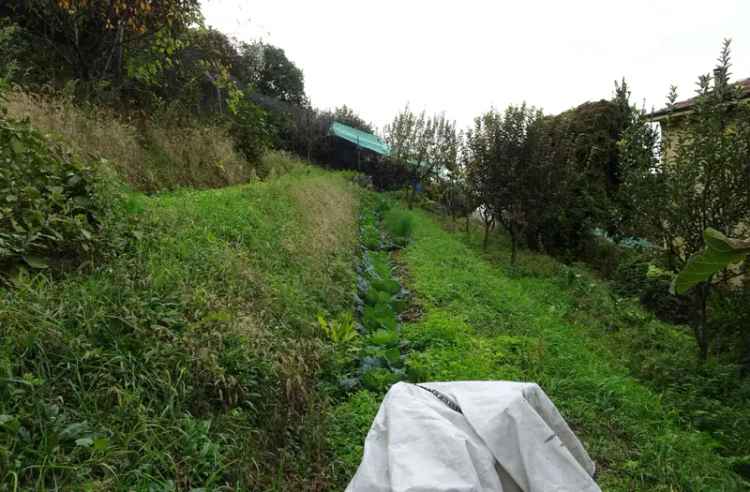 TERRENO AGRICOLO 13.180 MQ