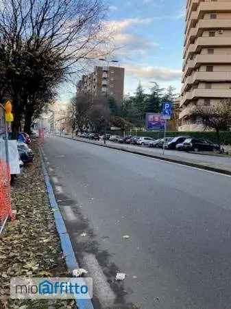 Appartamento In Affitto in 50/5, Viale Enrico Forlanini, Milano, Lombardia