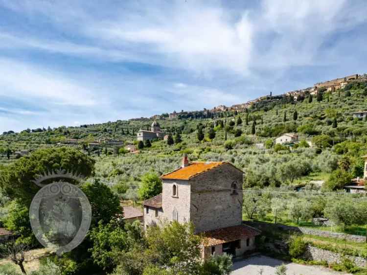 Casa colonica Case Sparse Cortona 791, Cortona