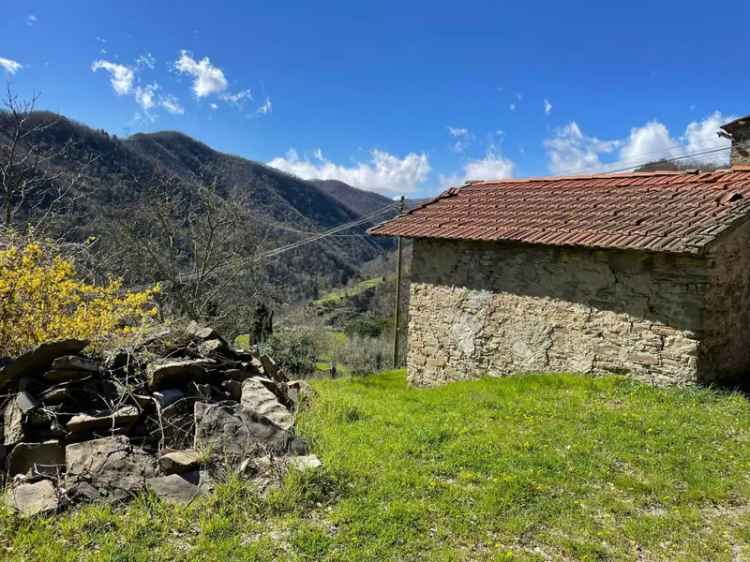 Casa colonica Strada Provinciale del Carigiola, Mercatale San Quirico, Vernio