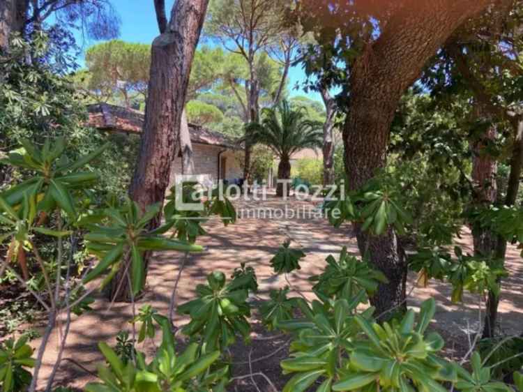 Villa a schiera in VIA BELLINI, Castiglione della Pescaia, 5 locali