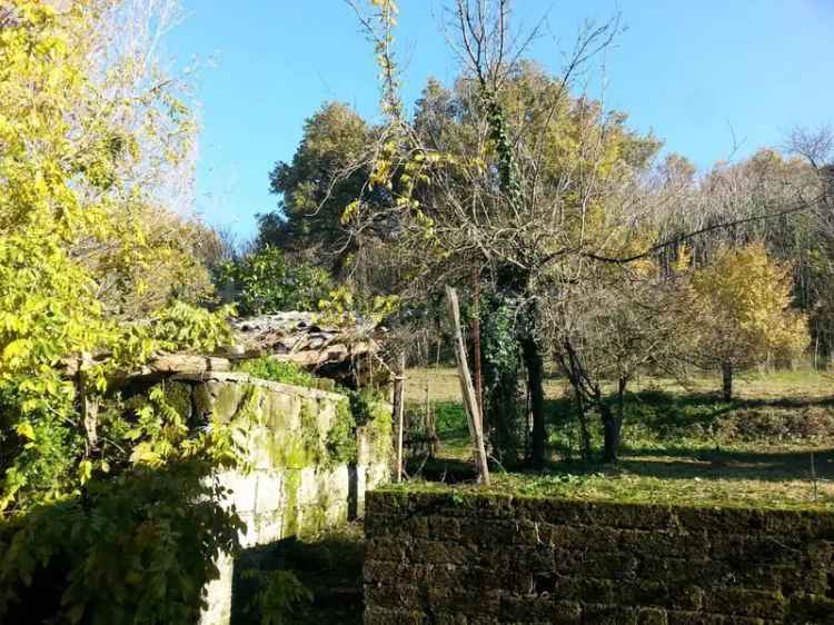 Casale in Vendita Caiazzo - Rustico in Pietra con Ampio Terreno