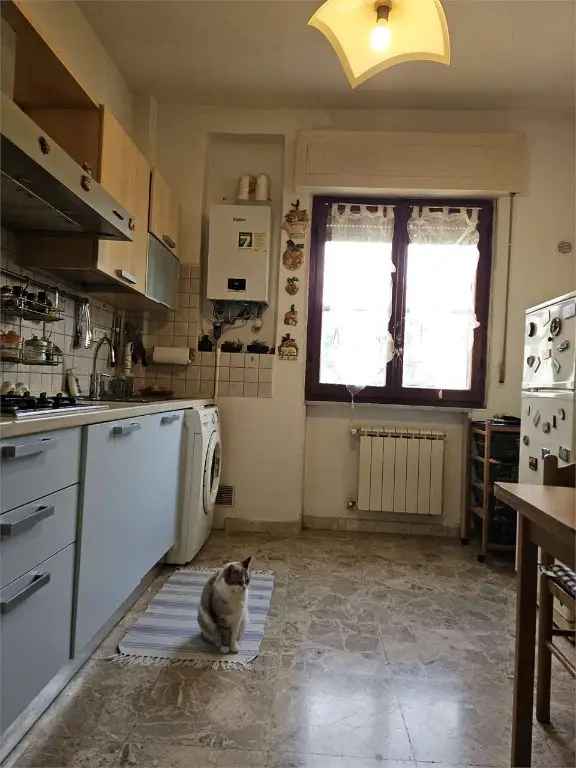 Appartamento in Via bonascola 1, Carrara, 5 locali, 1 bagno, garage