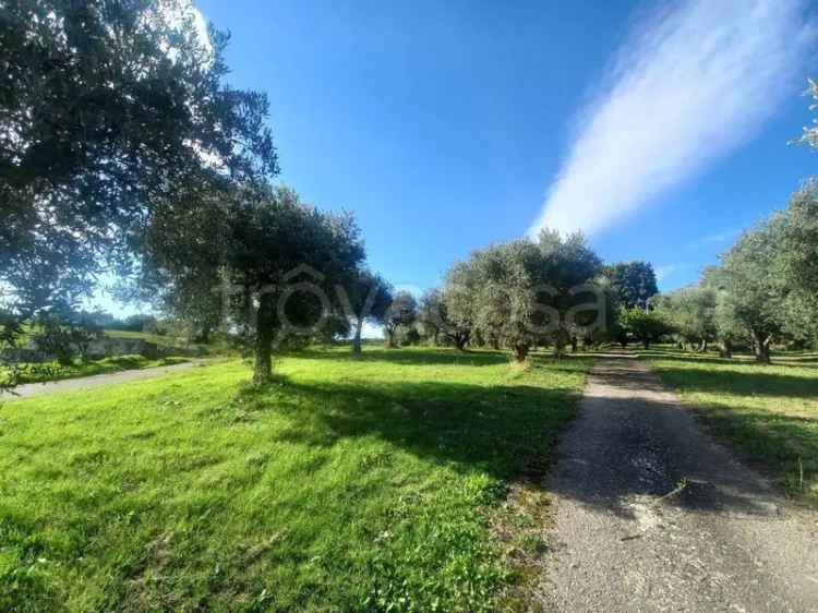 Casale in vendita a San Marco dei Cavoti contrada Montedoro, 42