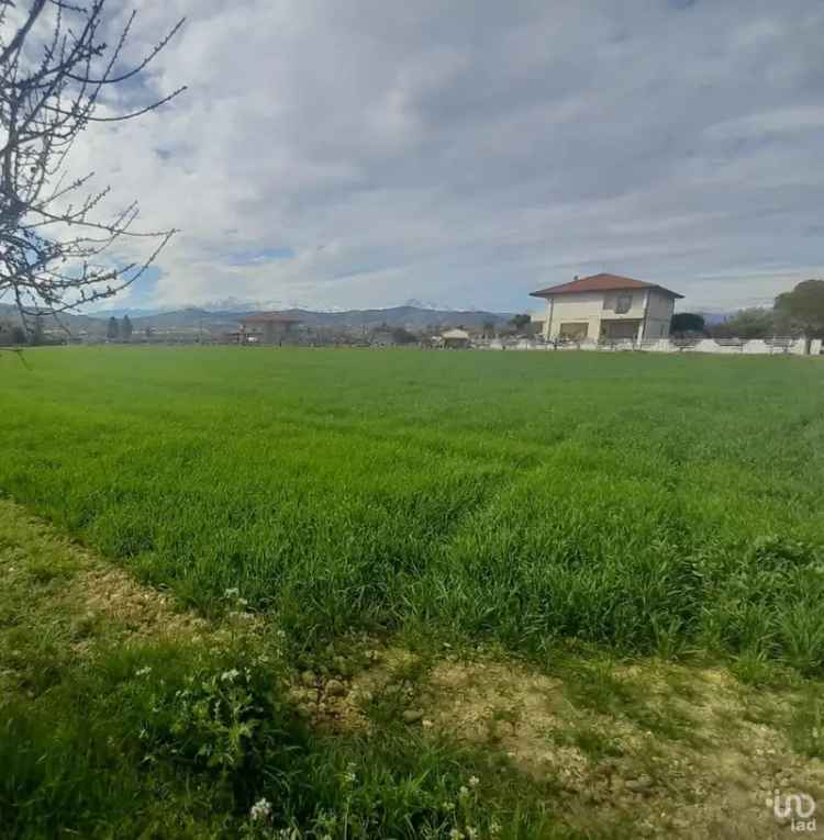 Vendita terreno di 9.150 m² in Notaresco (64024) - 114535 - iad