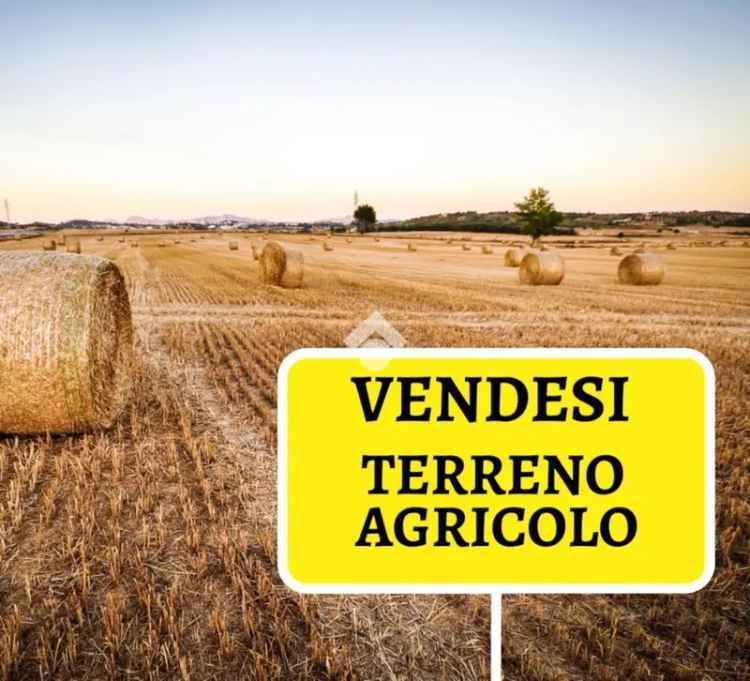 Ter. agricolo in vendita