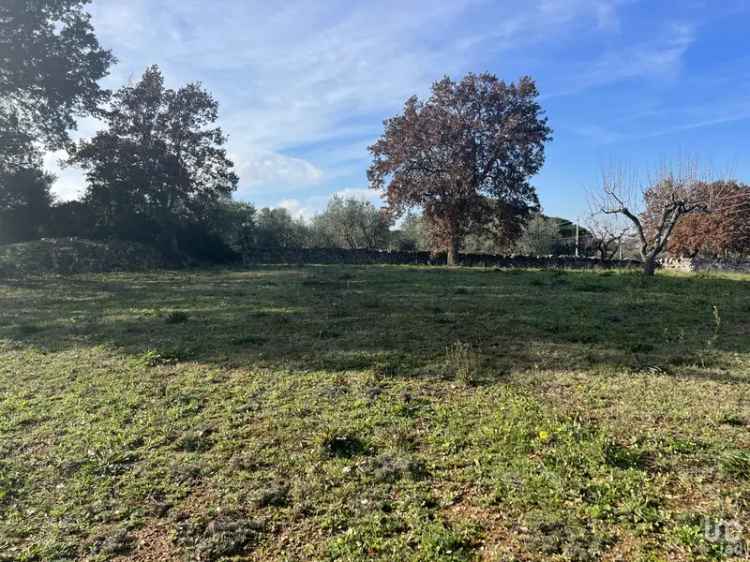 Vendita terreno agricolo di 6.000 m² in Cisternino (72014) - 88194 - iad