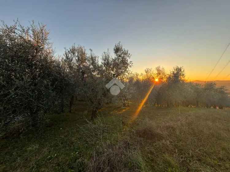 Terratetto plurifamiliare Località Cerreta 60, San Gemini