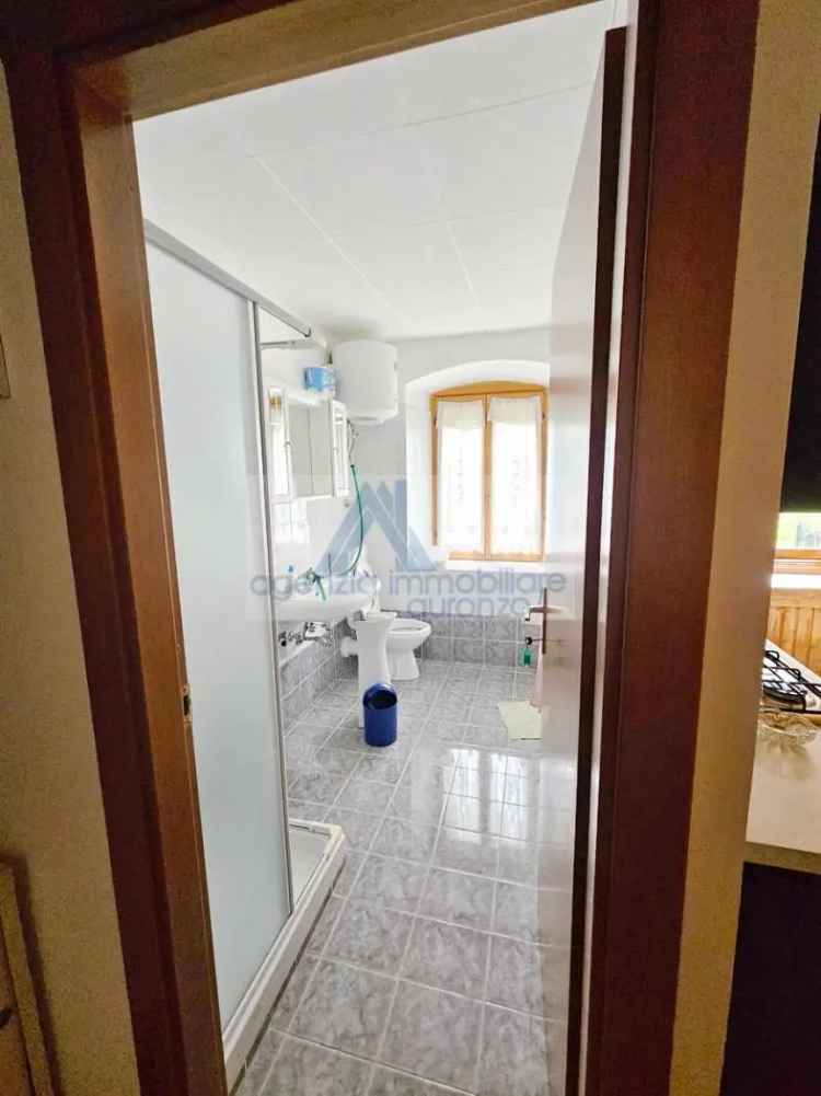 Appartamento via Lungopiave-Transacqua 37, Centro, Santo Stefano di Cadore