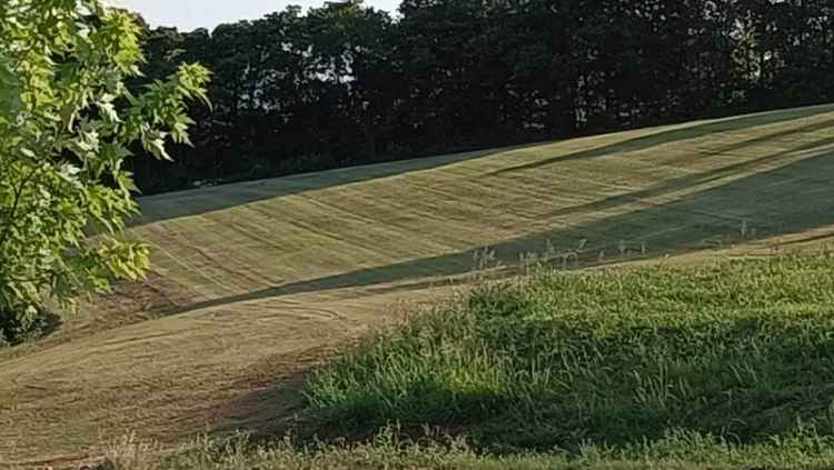 TERRENO AGRICOLO BRENDOLA