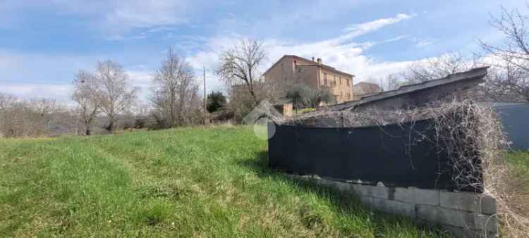 Ter. agricolo in vendita