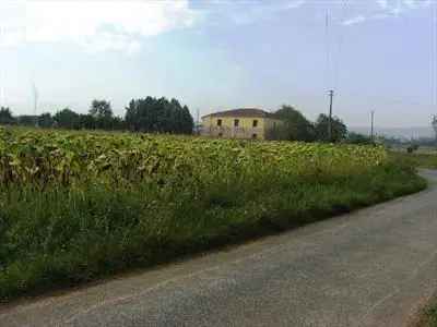 Terreno Agricolo 6750 mq Vendita Torrita di Siena