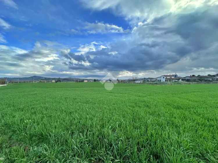 Ter. agricolo in vendita