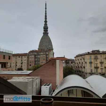 Appartamento In Affitto in Torino, Piemonte