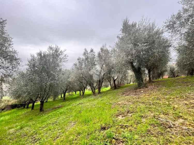 Rustico Strada di fabbrucciano, Narni