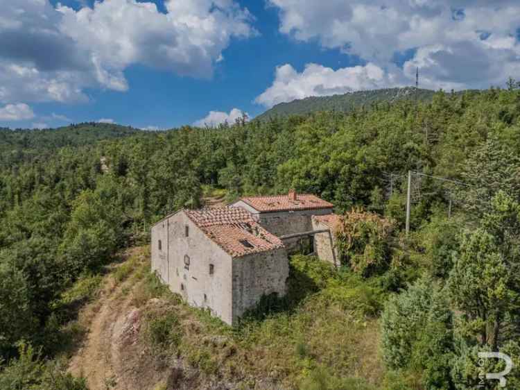 Rustico Strada Provinciale Gerfalco, Gerfalco, Montieri