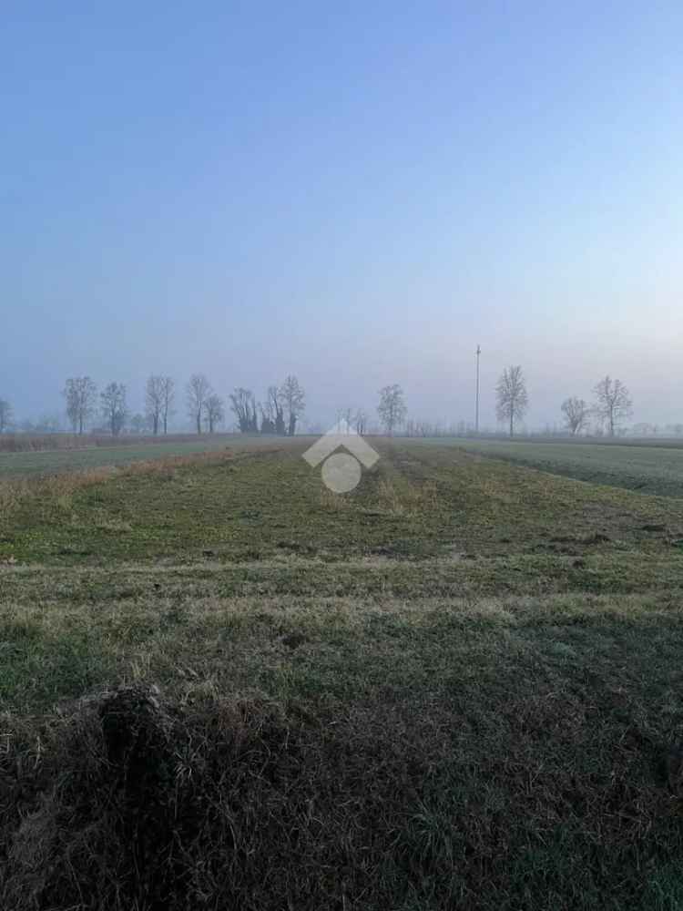 Terreno Agricolo in Vendita Granze 4310mq