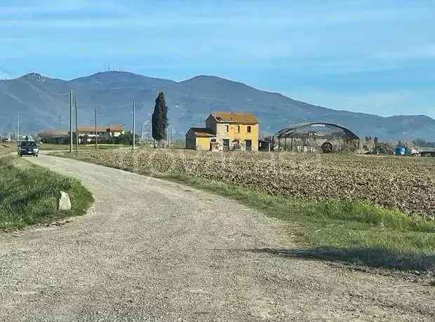 Appartamento in affitto a Cascina via dei Merli,