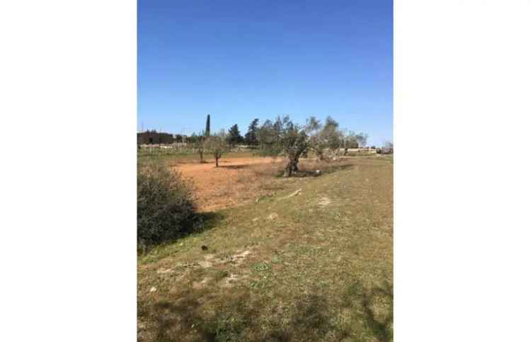 Terreno Agricolo/Coltura in vendita a Vittoria