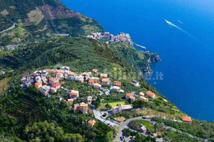 Bilocale via Montello, Volastra, Riomaggiore