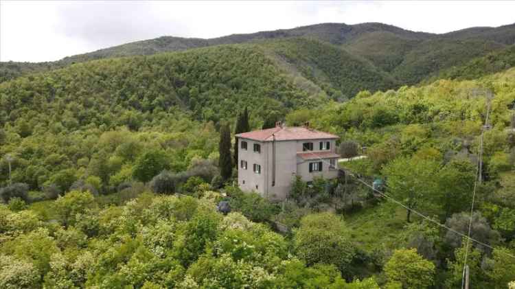 Casale Località Albiano, Molin Nuovo, Arezzo