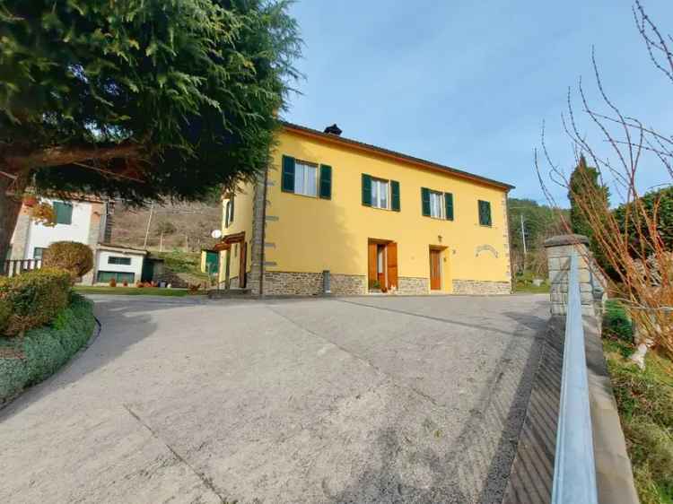 Villa in Provinciale lutirano, Marradi, 10 locali, 2 bagni, con box