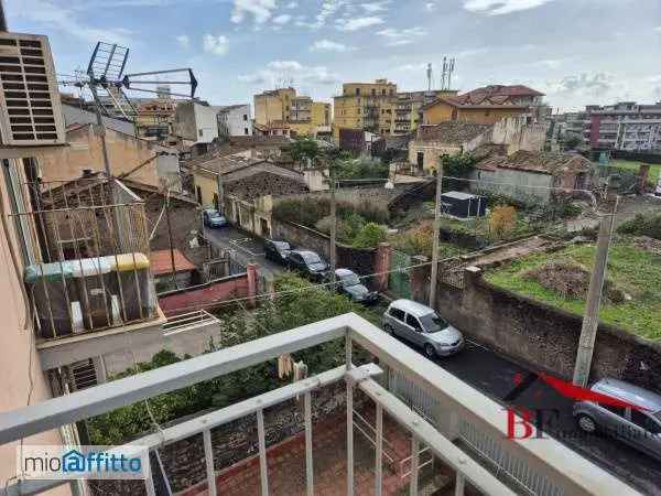 Appartamento In Affitto in Catania, Sicilia