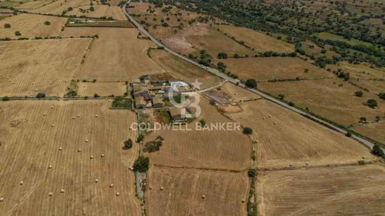 Rustico sp80 5,5, Donnafugata - Punta Braccetto, Ragusa