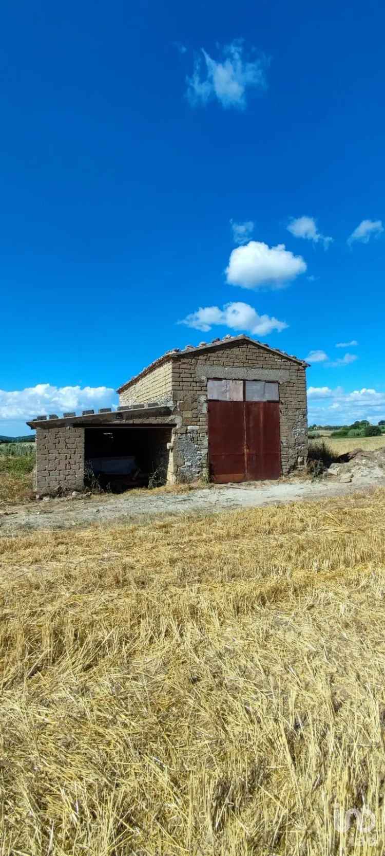 Vendita terreno agricolo di 140.000 m² in Pitigliano (58017) - 128667 - iad