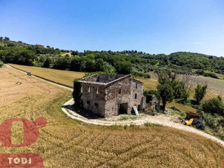 Rustico Asproli, 1, Todi