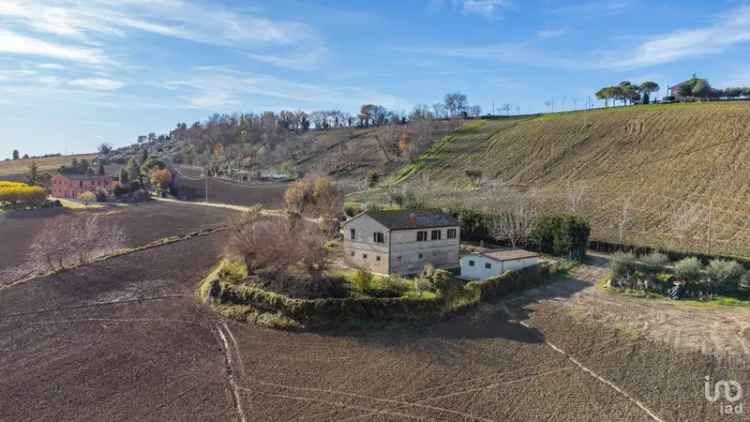 Vendita casa 6 locali di 110 m² in Osimo (60027) - 132783 - iad