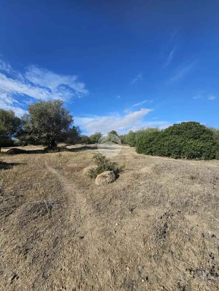 Ter. agricolo in vendita