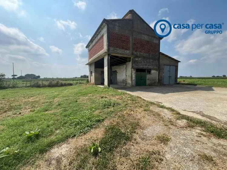 Terratetto unifamiliare Bellombra, via Burchio, Bellombra, Adria