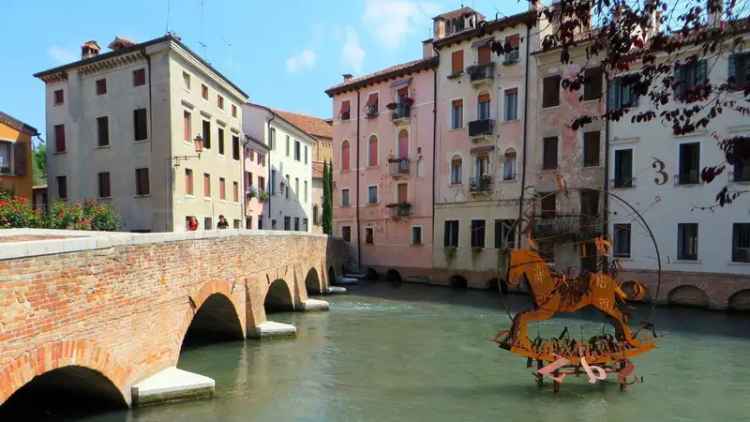 Appartamento Borgo Cavalli, Piazza del Grano - Burchiellati, Treviso