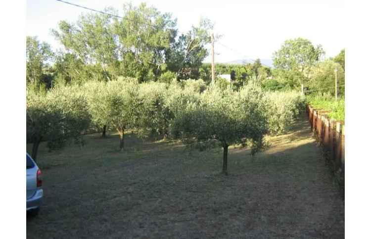 Terreno Agricolo/Coltura in vendita a Velletri