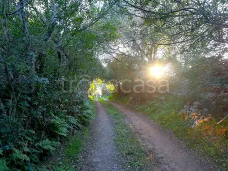 Villa in affitto ad Arzachena sp115