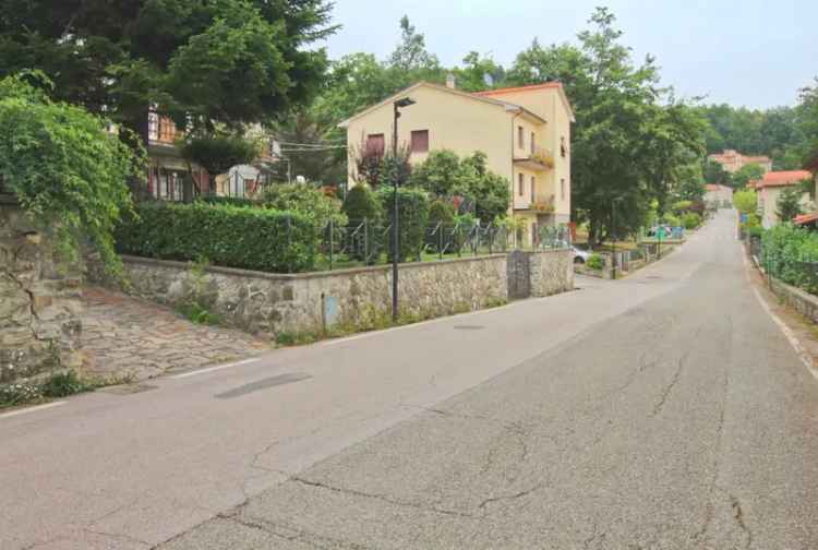 Appartamento viale Michelangelo, Centro, Chiusi della Verna