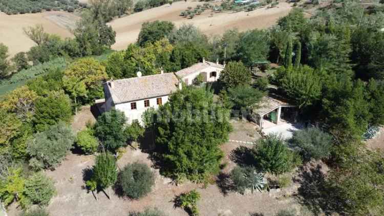 Casale via Giuseppe Garibaldi, San Giorgio Di Pesaro, Terre Roveresche