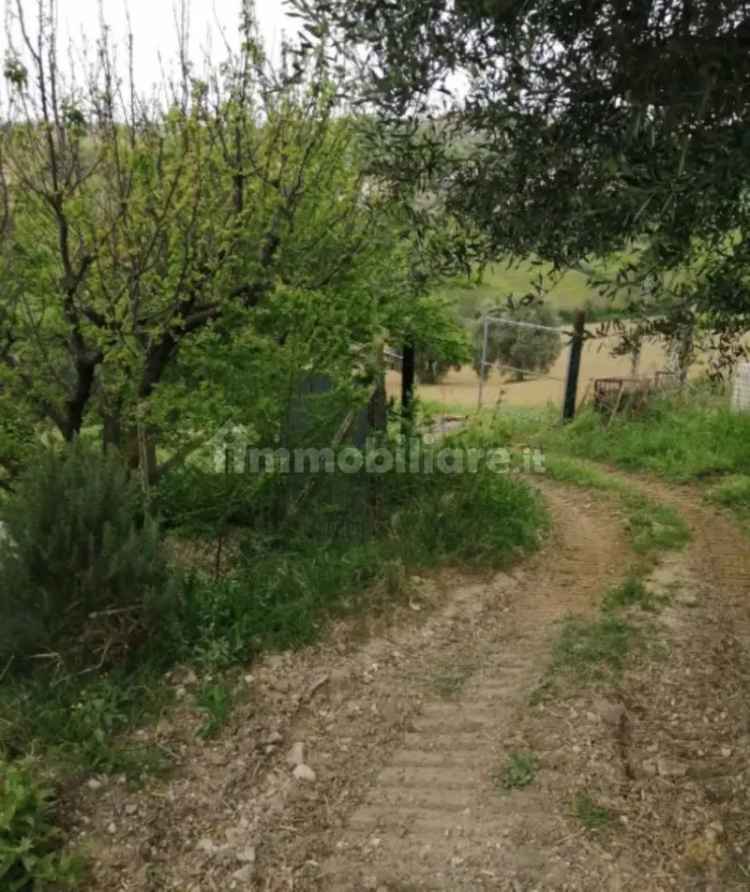 Rustico - casale all'asta Strada Santa Caterina, Sant'Elpidio a Mare