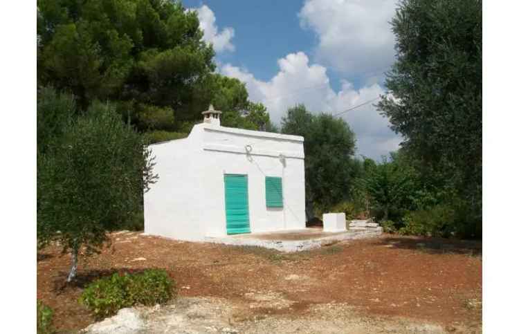 Terreno Agricolo/Coltura in vendita a Ceglie Messapica