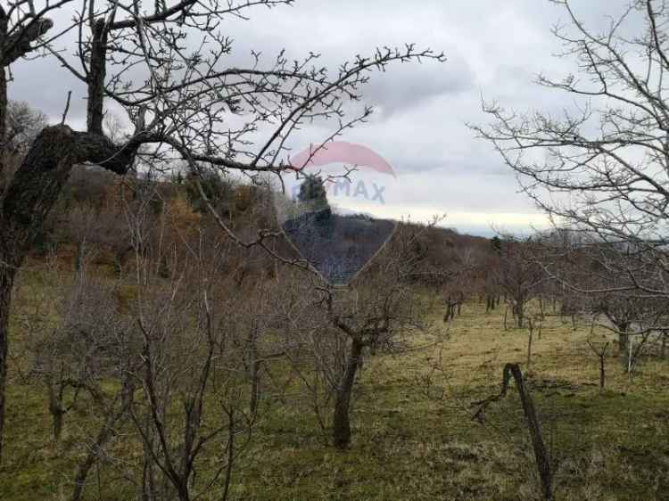 Terreno in vendita a Biancavilla