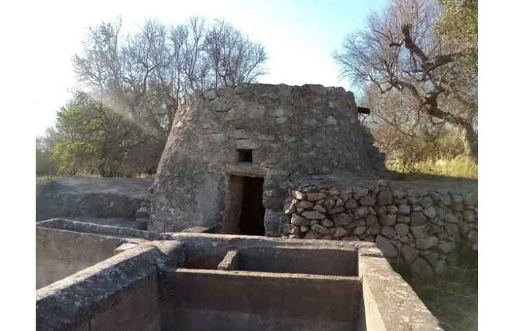 Terreno Agricolo/Coltura in vendita a Parabita, Via Monsignor Gaetano Fagiani 34