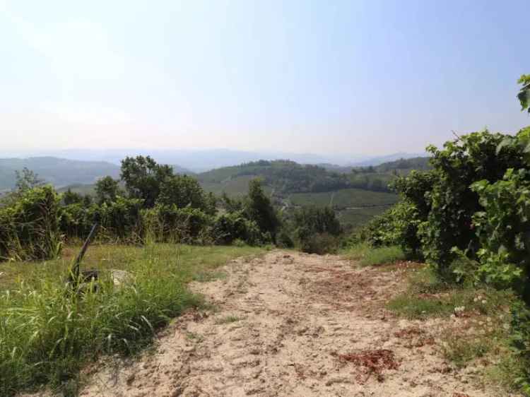 Terreno agricolo in vendita a Montabone