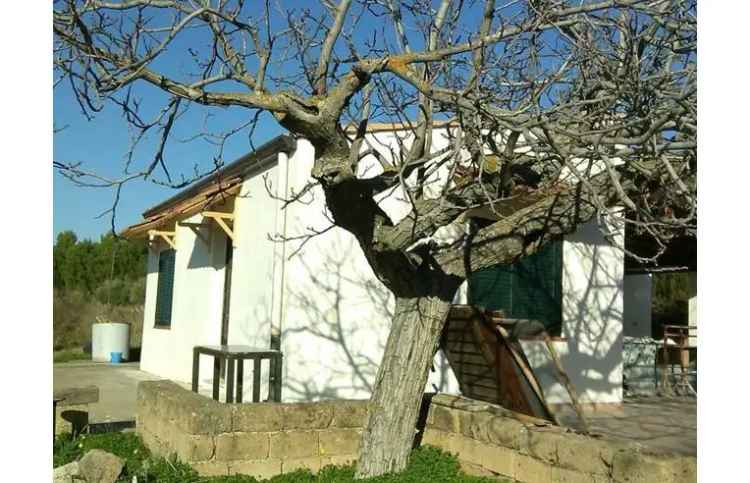 Casa indipendente in vendita a Cianciana