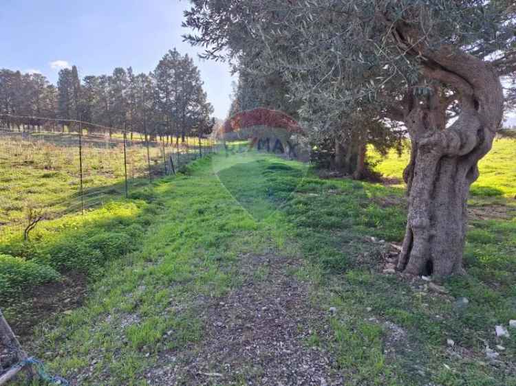 Terreno in vendita a San Mauro Castelverde