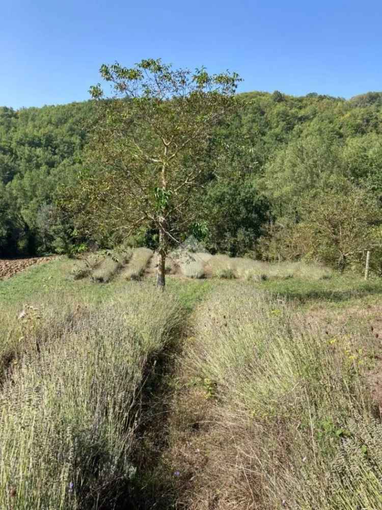 Rustico Contrada Cese, Cese, Campobasso