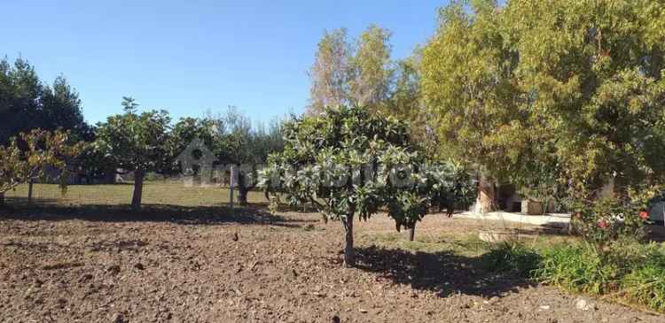 Casale Strada Provinciale Guglionesi Petacciato, Petacciato