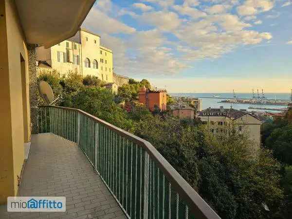 Appartamento In Affitto in Genova, Liguria